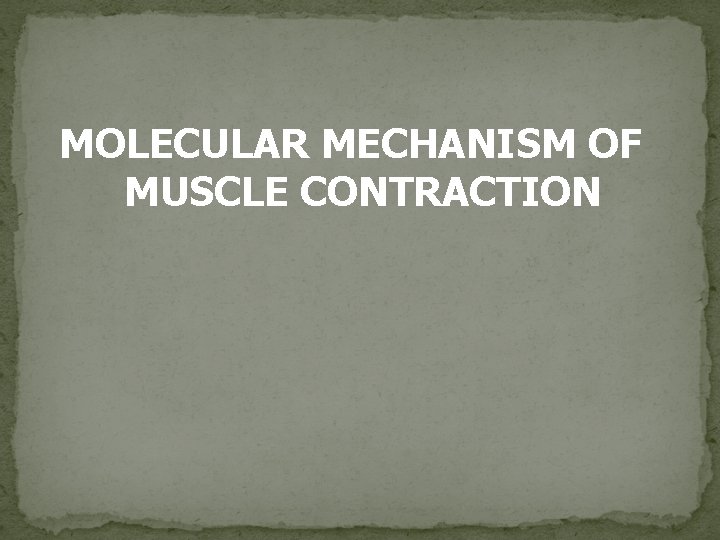 MOLECULAR MECHANISM OF MUSCLE CONTRACTION 