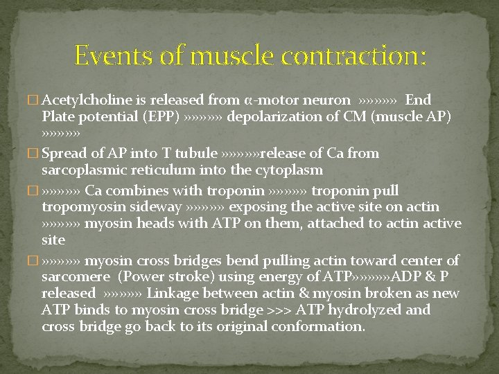 Events of muscle contraction: � Acetylcholine is released from α-motor neuron » » »