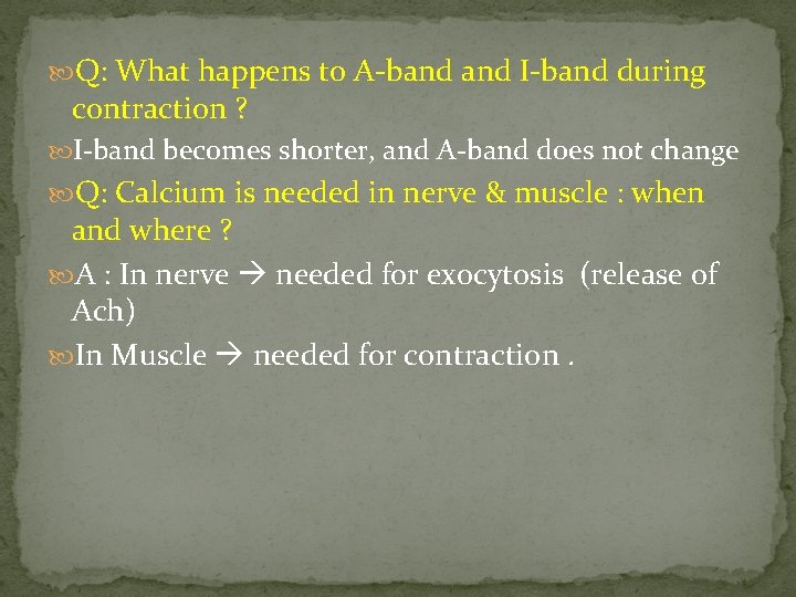  Q: What happens to A-band I-band during contraction ? I-band becomes shorter, and