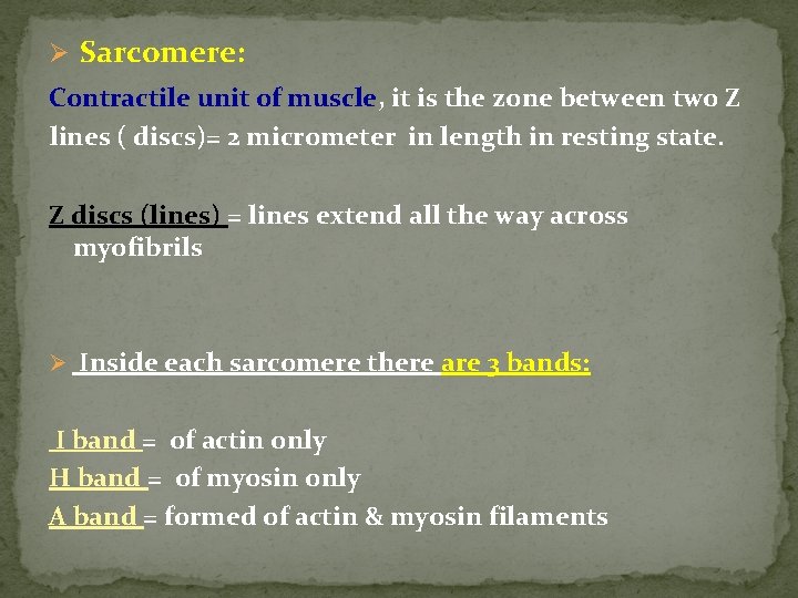 Ø Sarcomere: Contractile unit of muscle, it is the zone between two Z lines