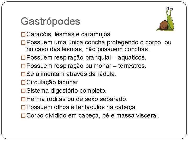 Gastrópodes � Caracóis, lesmas e caramujos � Possuem uma única concha protegendo o corpo,