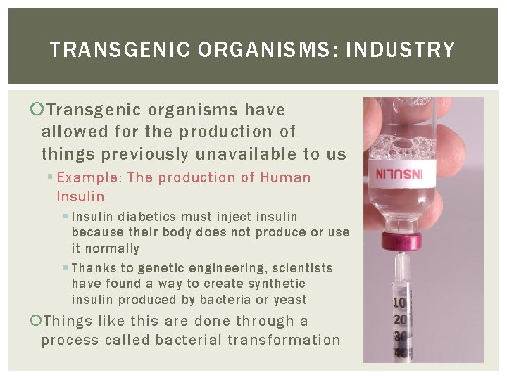 TRANSGENIC ORGANISMS: INDUSTRY Transgenic organisms have allowed for the production of things previously unavailable