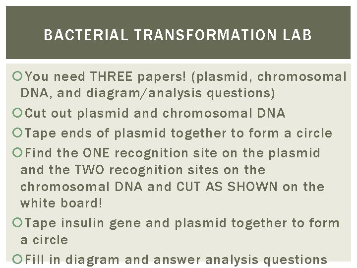 BACTERIAL TRANSFORMATION LAB You need THREE papers! (plasmid, chromosomal DNA, and diagram/analysis questions) Cut