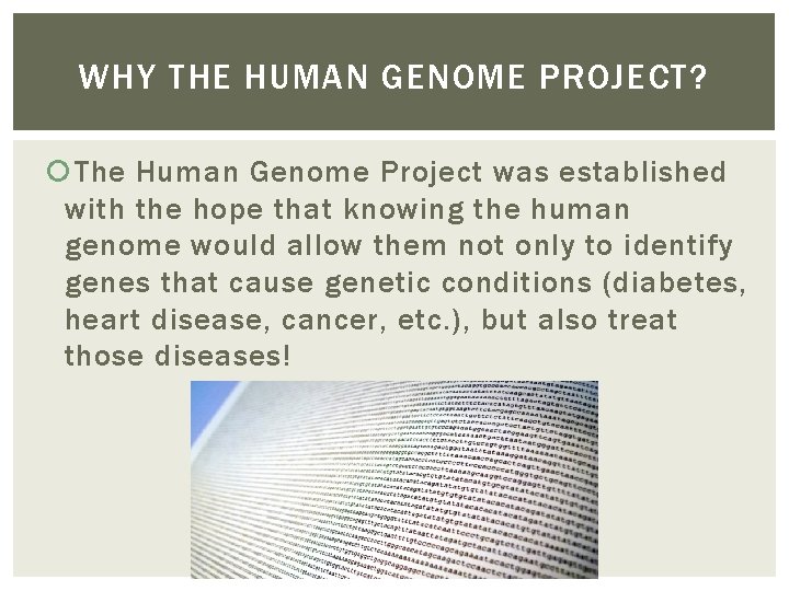WHY THE HUMAN GENOME PROJECT? The Human Genome Project was established with the hope
