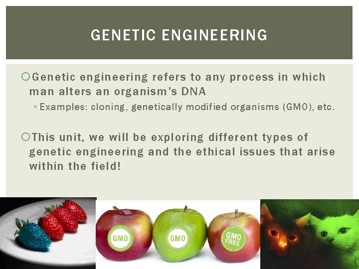 GENETIC ENGINEERING Genetic engineering refers to any process in which man alters an organism’s