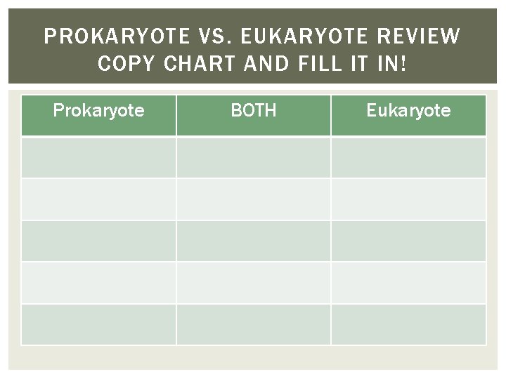 PROKARYOTE VS. EUKARYOTE REVIEW COPY CHART AND FILL IT IN! Prokaryote BOTH Eukaryote 