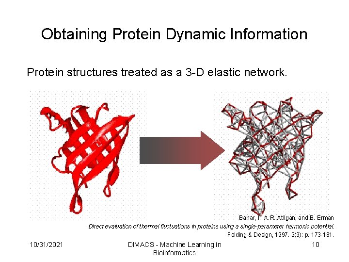 Obtaining Protein Dynamic Information Protein structures treated as a 3 -D elastic network. Bahar, Obtaining Protein Dynamic Information Protein structures treated as a 3 -D elastic network. Bahar,