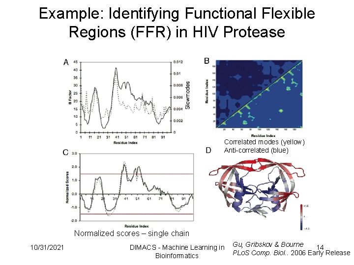 Example: Identifying Functional Flexible Regions (FFR) in HIV Protease Correlated modes (yellow) Anti-correlated (blue) Example: Identifying Functional Flexible Regions (FFR) in HIV Protease Correlated modes (yellow) Anti-correlated (blue)