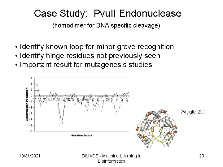 Case Study: Pvu. II Endonuclease (homodimer for DNA specific cleavage) • Identify known loop Case Study: Pvu. II Endonuclease (homodimer for DNA specific cleavage) • Identify known loop