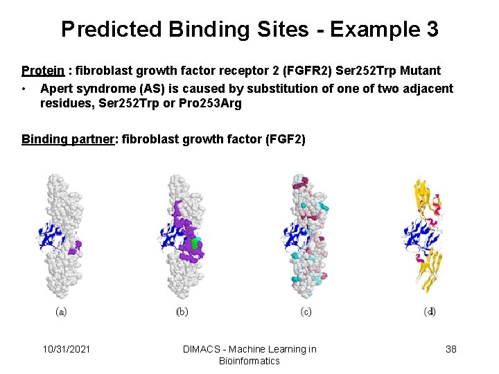 Predicted Binding Sites - Example 3 Protein : fibroblast growth factor receptor 2 (FGFR Predicted Binding Sites - Example 3 Protein : fibroblast growth factor receptor 2 (FGFR