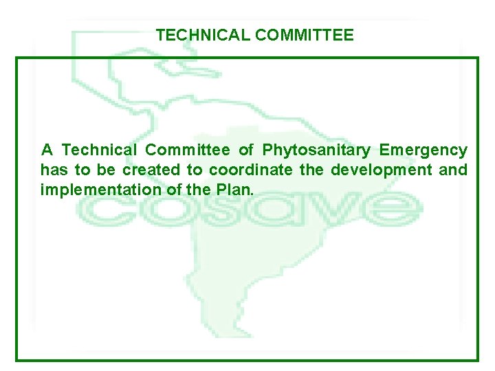 TECHNICAL COMMITTEE A Technical Committee of Phytosanitary Emergency has to be created to coordinate