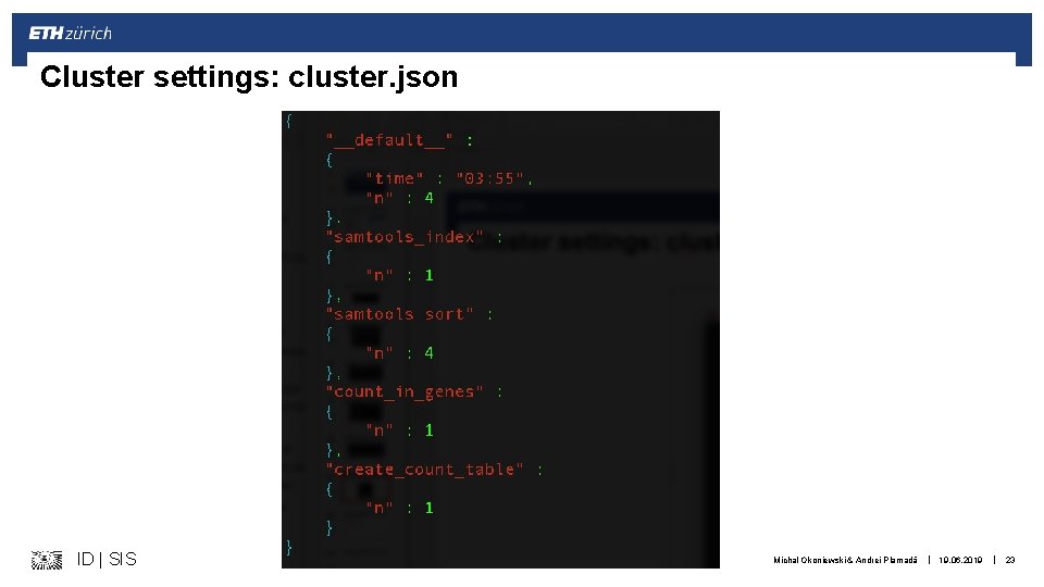 Cluster settings: cluster. json ID | SIS Michal Okoniewski & Andrei Plamadă | 19.