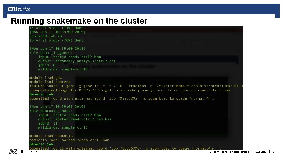 Running snakemake on the cluster ID | SIS Michal Okoniewski & Andrei Plamadă |