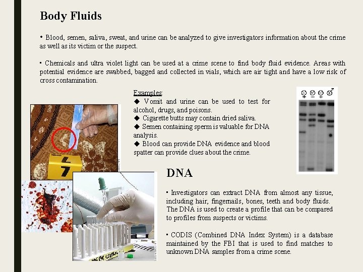Body Fluids • Blood, semen, saliva, sweat, and urine can be analyzed to give