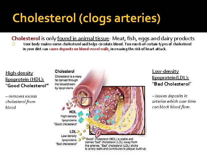 Cholesterol (clogs arteries) Cholesterol is only found in animal tissue- Meat, fish, eggs and