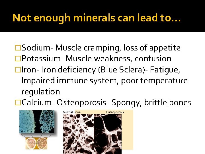 Not enough minerals can lead to… �Sodium- Muscle cramping, loss of appetite �Potassium- Muscle
