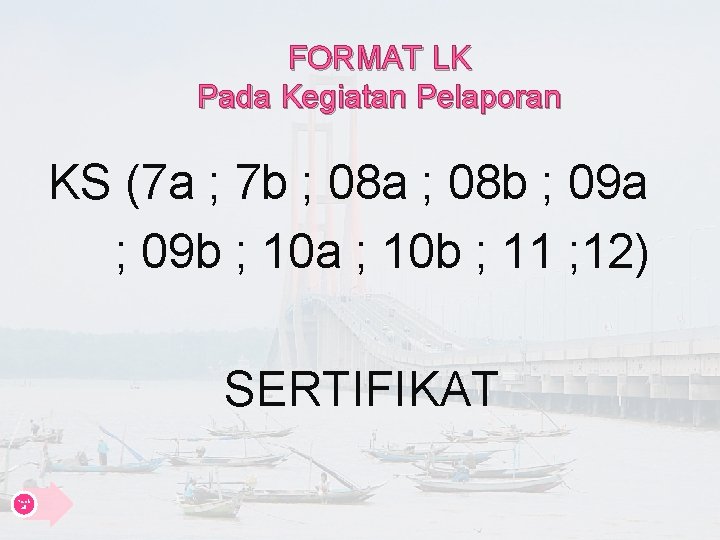 FORMAT LK Pada Kegiatan Pelaporan KS (7 a ; 7 b ; 08 a