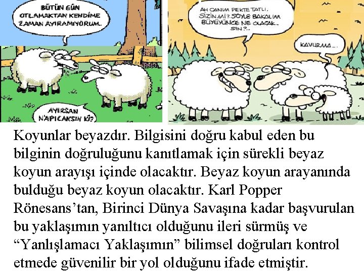Koyunlar beyazdır. Bilgisini doğru kabul eden bu bilginin doğruluğunu kanıtlamak için sürekli beyaz koyun