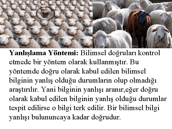 Yanlışlama Yöntemi: Bilimsel doğruları kontrol etmede bir yöntem olarak kullanmıştır. Bu yöntemde doğru olarak