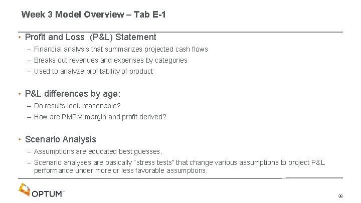 Week 3 Model Overview – Tab E-1 • Profit and Loss (P&L) Statement –