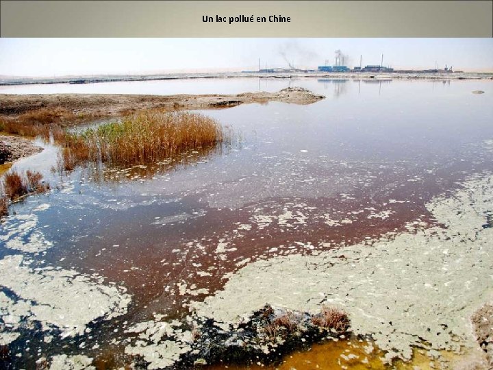 Un lac pollué en Chine 