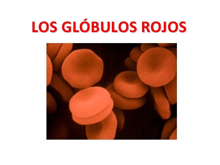 LOS GLÓBULOS ROJOS 