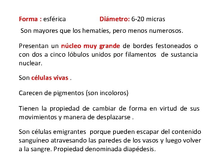 Forma : esférica Diámetro: 6 -20 micras Son mayores que los hematíes, pero menos