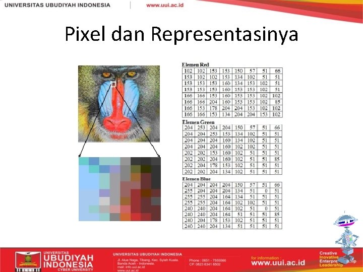 Pixel dan Representasinya 