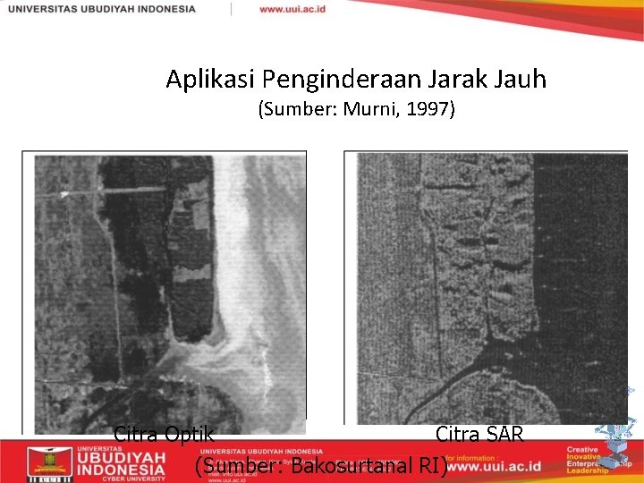 Aplikasi Penginderaan Jarak Jauh (Sumber: Murni, 1997) Citra Optik Citra SAR (Sumber: Bakosurtanal RI)