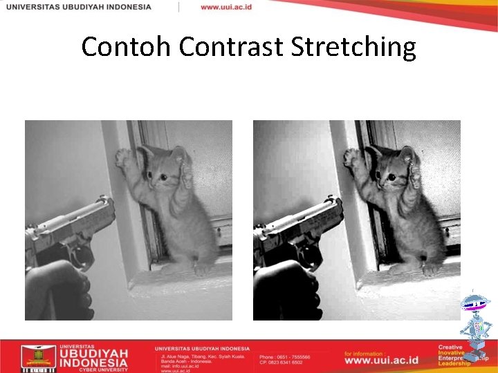 Contoh Contrast Stretching 