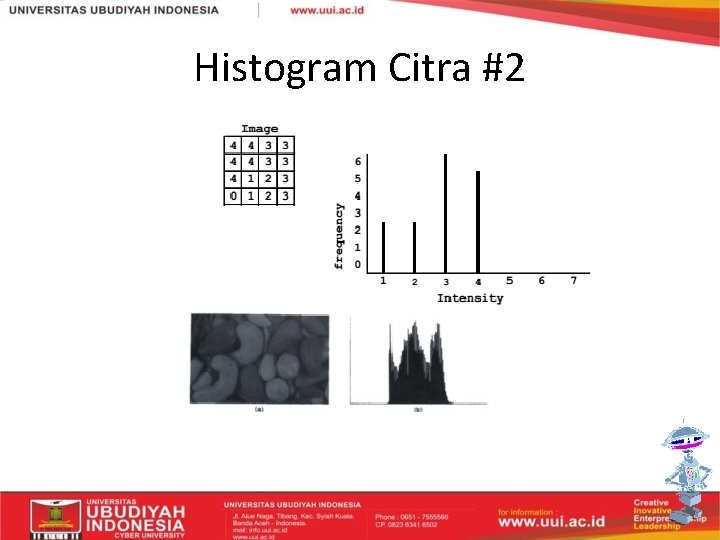 Histogram Citra #2 