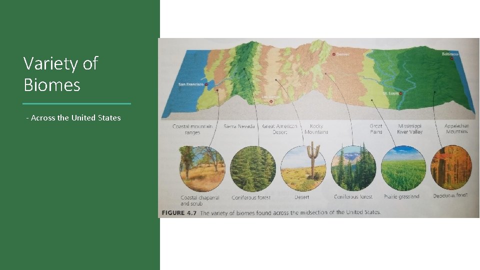 Variety of Biomes - Across the United States  Variety of Biomes - Across the United States