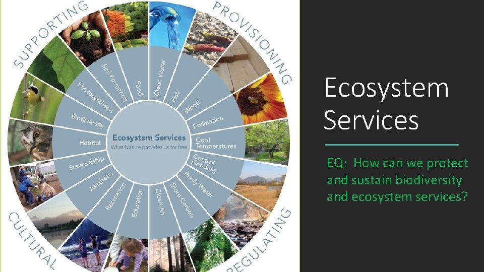 Ecosystem Services EQ: How can we protect and sustain biodiversity and ecosystem services?  Ecosystem Services EQ: How can we protect and sustain biodiversity and ecosystem services?