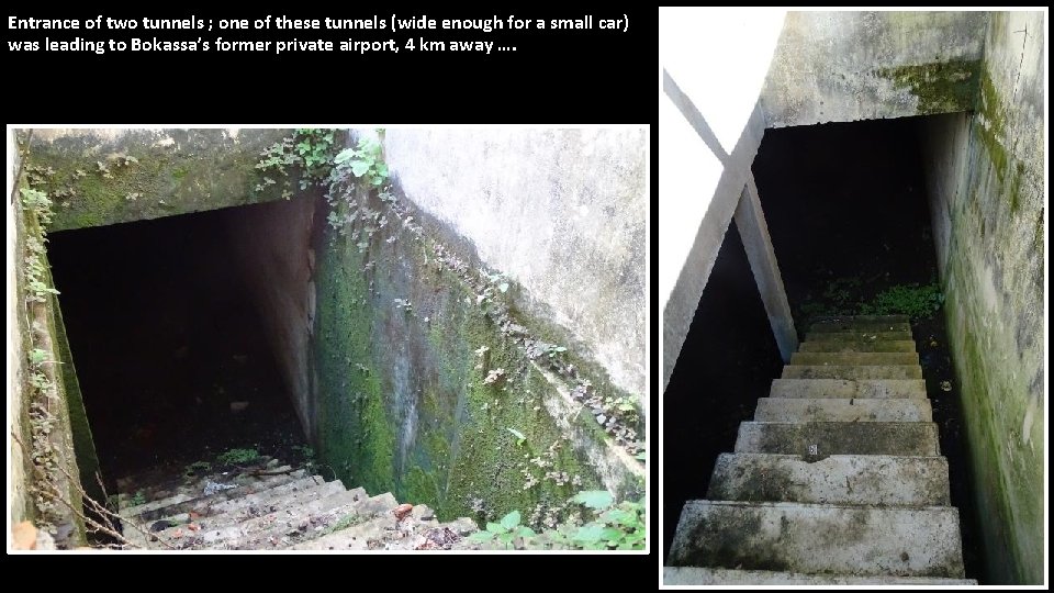 Entrance of two tunnels ; one of these tunnels (wide enough for a small