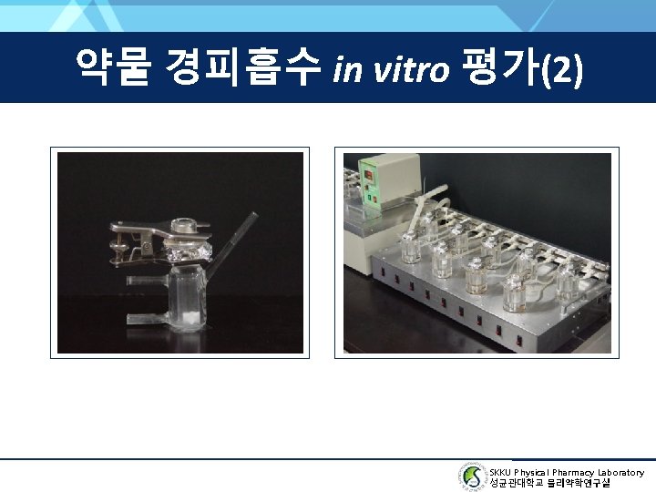 약물 경피흡수 in vitro 평가(2) SKKU Physical Pharmacy Laboratory 성균관대학교 물리약학연구실 