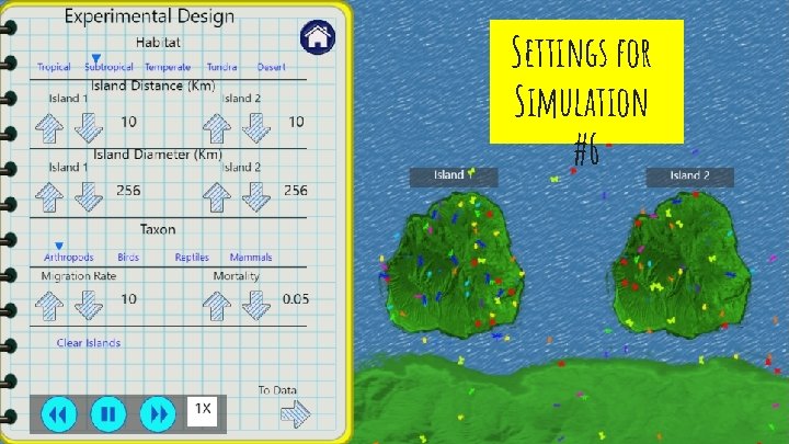 Settings for Simulation #6 