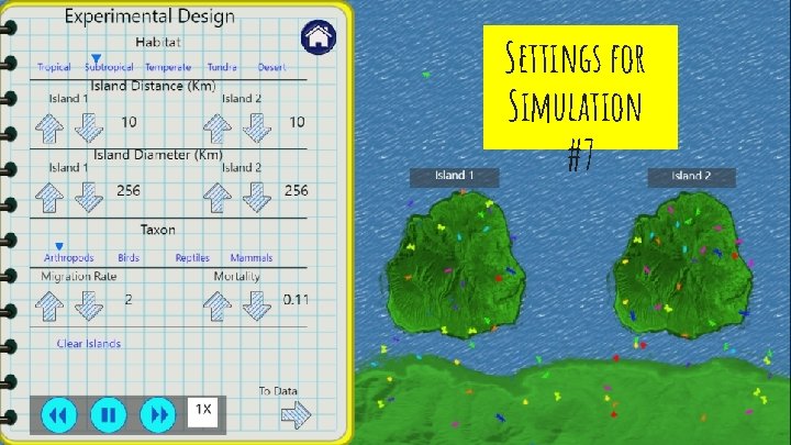Settings for Simulation #7 