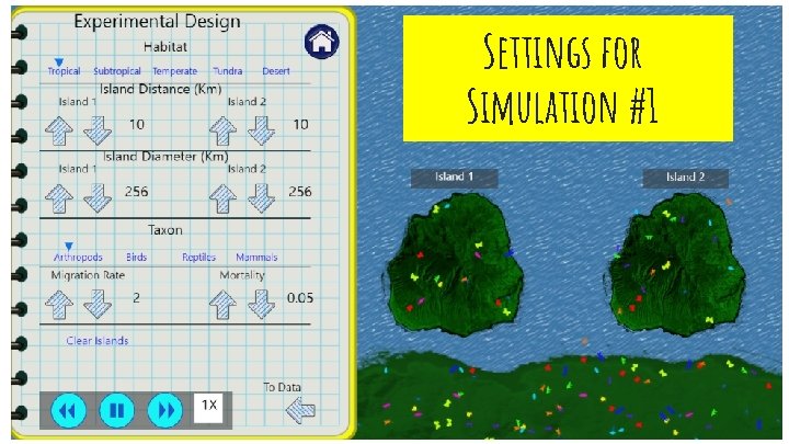 Settings for Simulation #1 