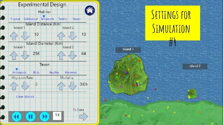 Settings for Simulation #4 