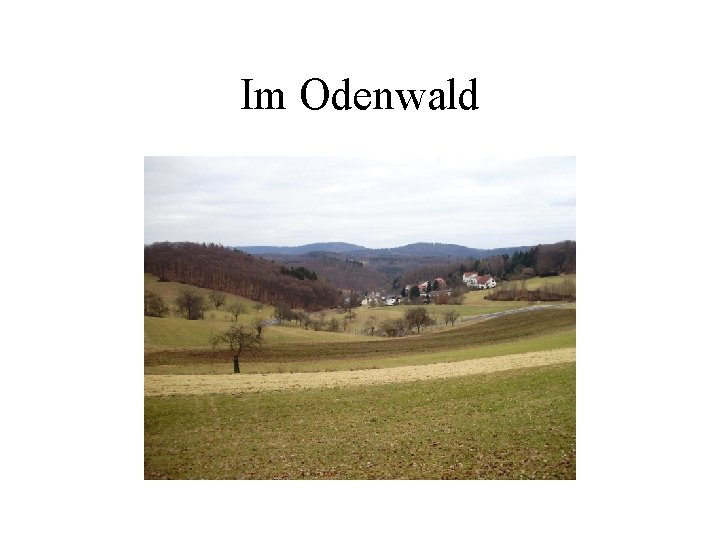 Im Odenwald 