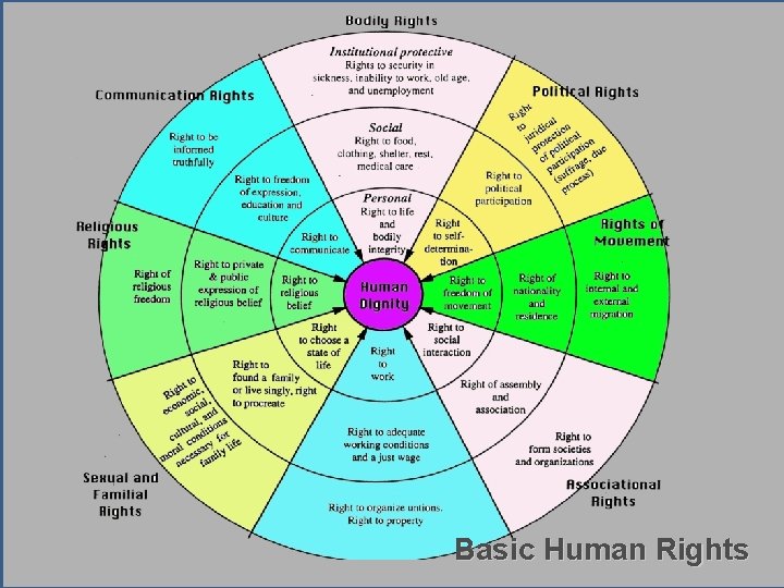 Basic Human Rights 