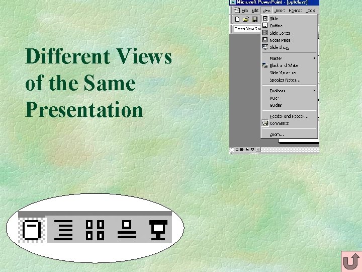 Different Views of the Same Presentation 