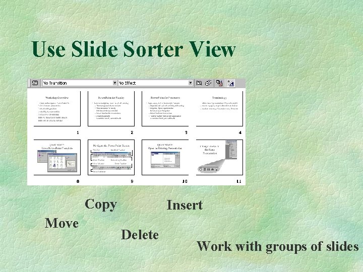 Use Slide Sorter View Copy Move Insert Delete Work with groups of slides 