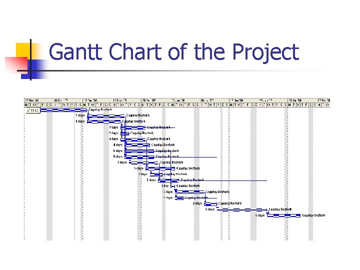 Gantt Chart of the Project 