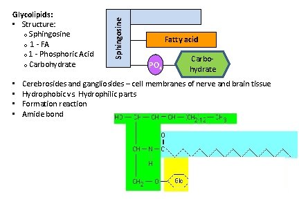 lipids-definition-definition-water-insoluble-no-common-structure