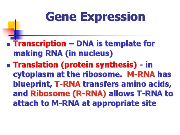 Gene Expression n n Transcription – DNA is template for making RNA (in nucleus)