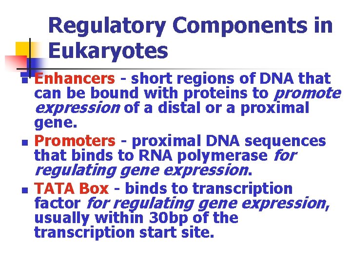 Regulatory Components in Eukaryotes n n n Enhancers - short regions of DNA that