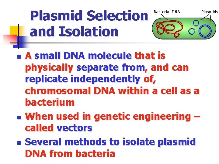 Plasmid Selection and Isolation n A small DNA molecule that is physically separate from,