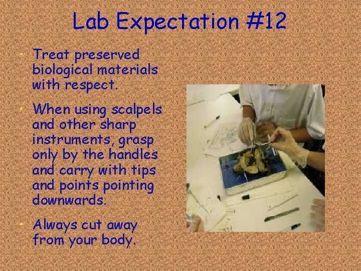 Lab Expectation #12 • Treat preserved biological materials with respect. • When using scalpels