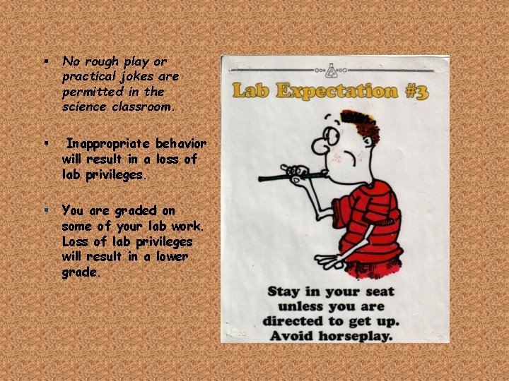 § No rough play or practical jokes are permitted in the science classroom. §